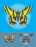 Butterly-Tiger Swallowtail