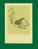 Frog Pond with Vintage Frame
