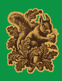 Squirrel with Nut