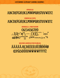 PM Aurora - Casual Vintage Serif Font