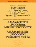 PM Aurora - Casual Vintage Serif Font