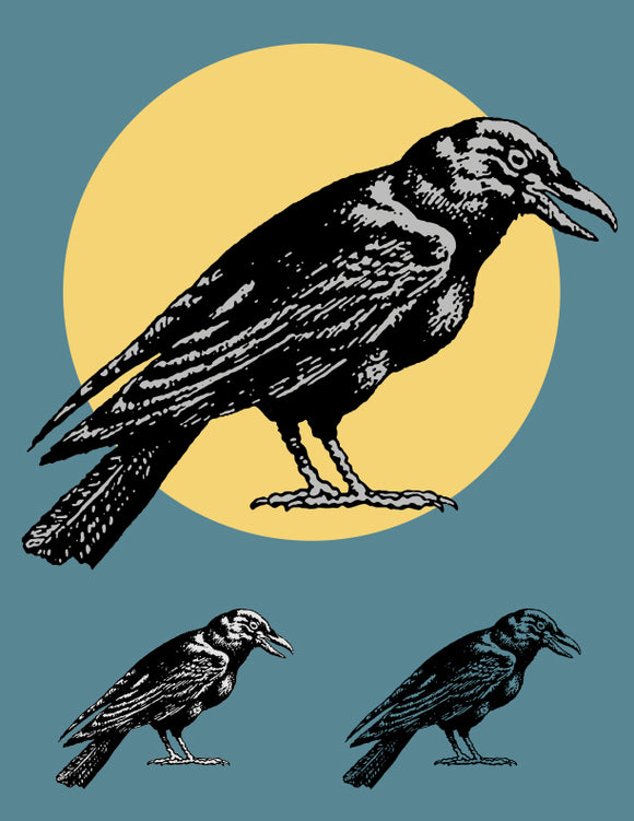 Crow Standing in the Moonlight