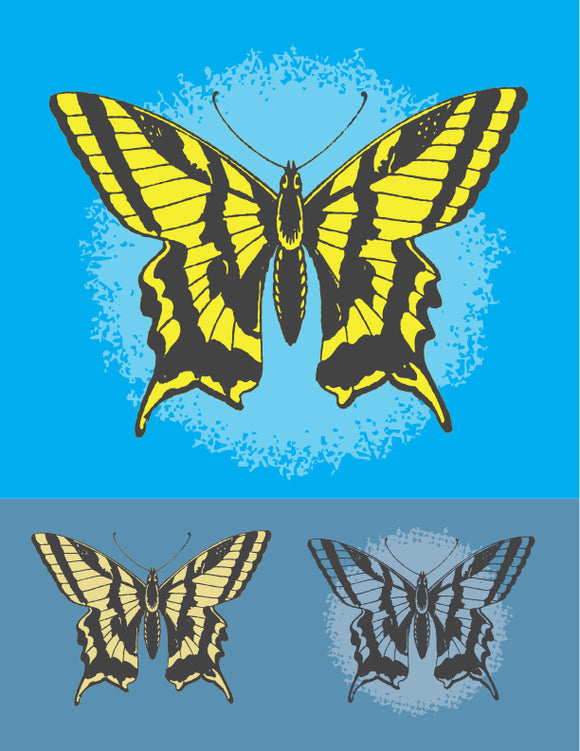 Butterly-Tiger Swallowtail