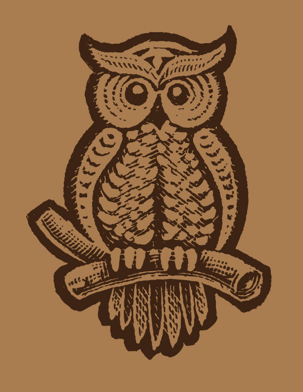 1970s Owl