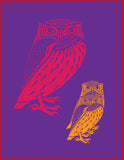 Woodblock Print Owls